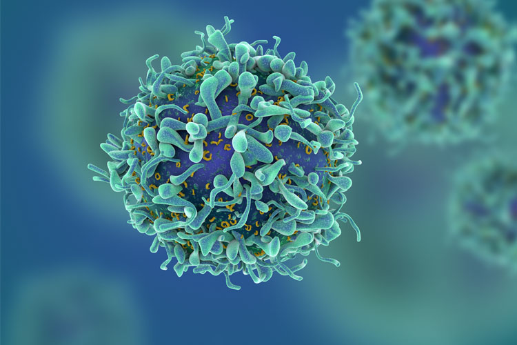 Belgian Neoadjuvant Platform: Belgium to the top of cancer research!