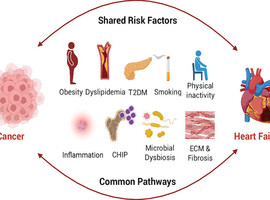 BSC CONGRESS 2026 - Session du Council on Cardio-Oncology