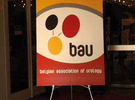 Elfde jaarlijkse congres van de BAU (Gent, december 2011)