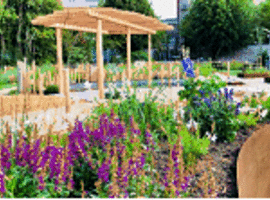 Un jardin thérapeutique pour les patients des Hôpitaux Iris Sud