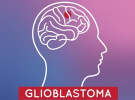 Les perspectives futures  dans le glioblastome