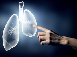 Immunothérapie dans le  cancer du poumon : l’année 2017 mise en perspective