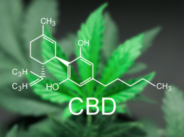 Premier médicament à base de cannabis autorisé aux Etats-Unis