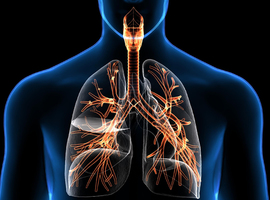 Congrès annuel de l’European Respiratory Society, Milan, septembre 2017 - Quand la pneumologie se veut transversale