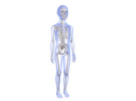 L’ostéoporose avant l’âge de 50 ans