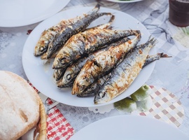 European Congress on Obesity 2025 - Obesitas: van globale urgentie naar therapeutische aanwinsten