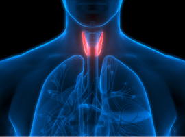 Recherche Affections De La Thyroide Le Specialiste