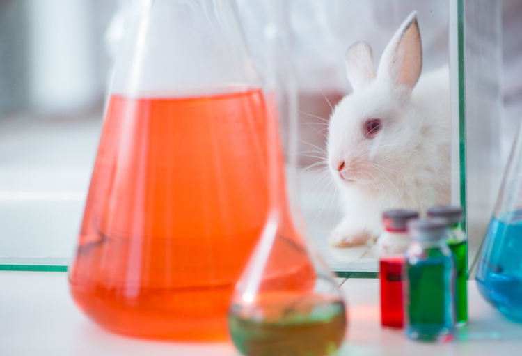 Des scientifiques s'engagent à plus de transparence sur l