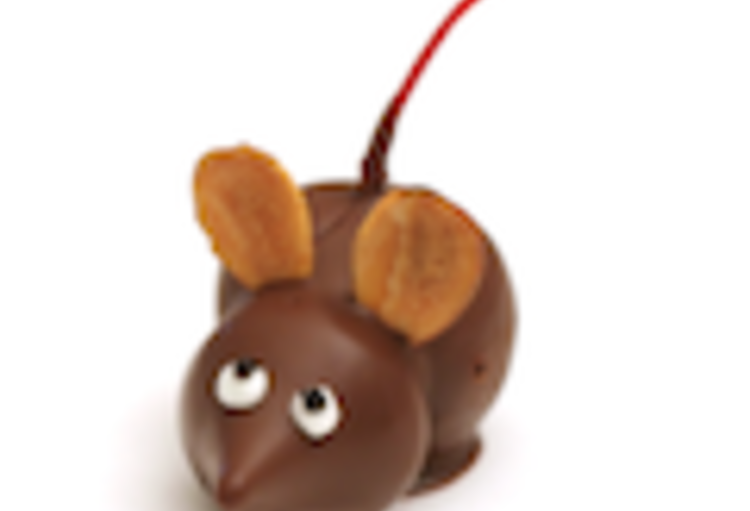 ERS Annual Congress 2013