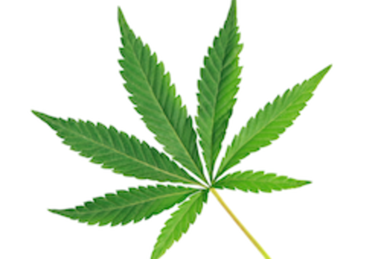 Echos de l’EAN 2016