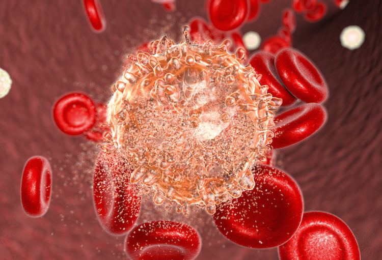 58ème meeting annuel de l’American Society of Hematology: l’ingénierie au service du patient