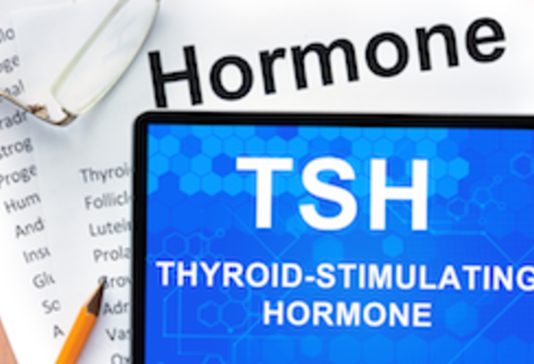 Nieuws van het EASD 2015