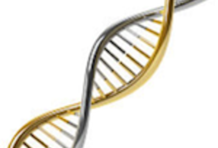 34e jaarlijks congres van de Belgian Society of Cardiology