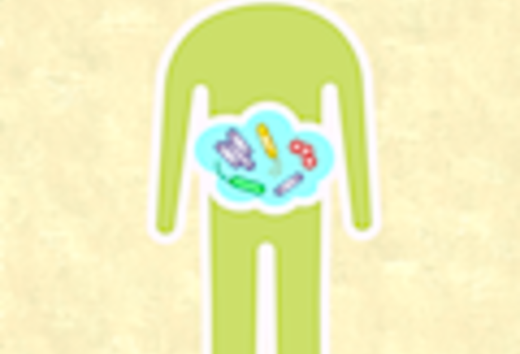 European Congress of Endocrinology (Munich, 28-31 mai 2016)