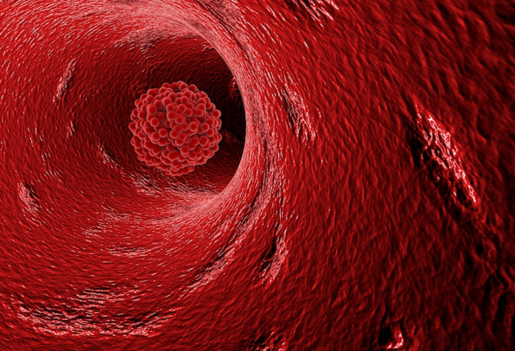 64th International Society on Thrombosis and Haemostasis (ISTH) and standardization committee 