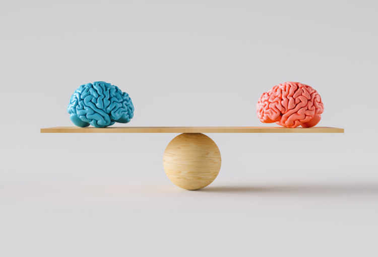 Ménopause et cerveau