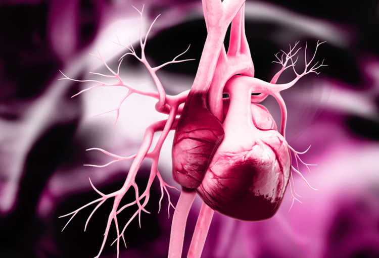 Where the «Magic of Cardiology» comes alive!