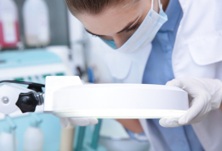 BDD: des perles, des thèses, des recherches