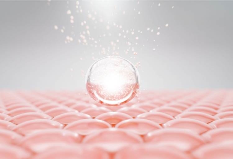 Belgian Dermatology Days 2024