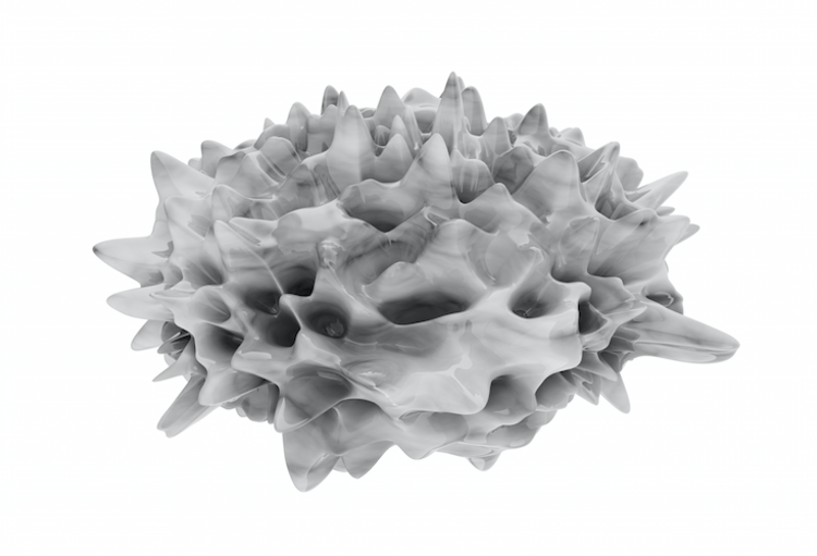 15th EADV spring symposium - Le printemps à Budva