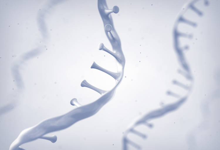 BDD: des perles, des thèses, des recherches