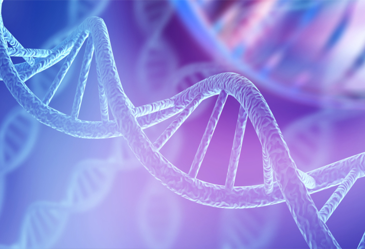 Highlights of San Antonio Breast Cancer Symposium