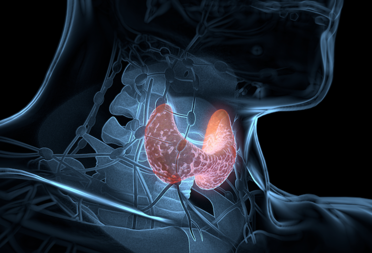 35ste Congres van de SFE