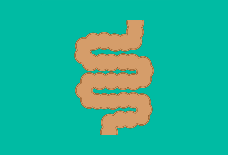 Belgian Week of Gastroenterology