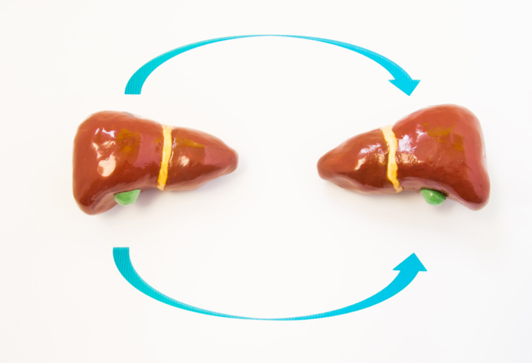 Belgian Week of Gastro-Enterology 2018: een groot succes!