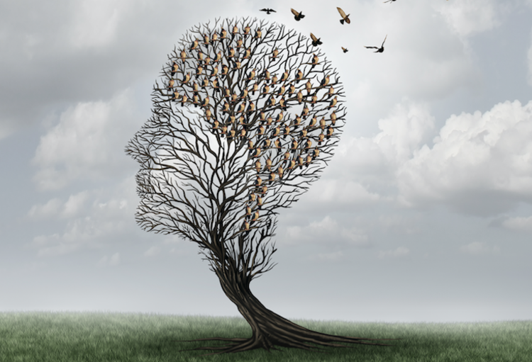 Van lichte cognitieve stoornis naar ziekte van Alzheimer MediSfeer Van lichte cognitieve stoornis naar ziekte van Alzheimer MediSfeer