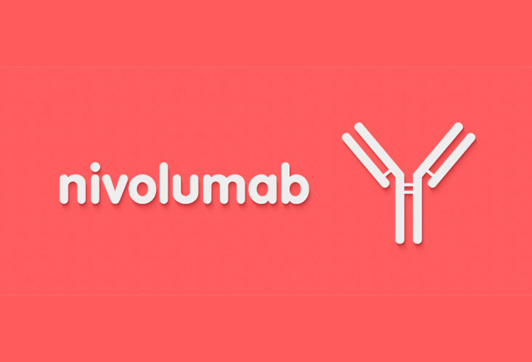 ASCO GU 2020: le meilleur du rein