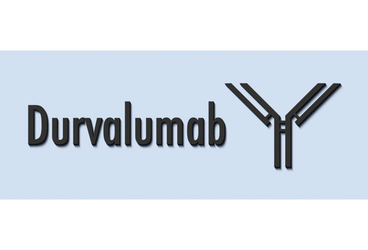 European Lung Cancer Congress