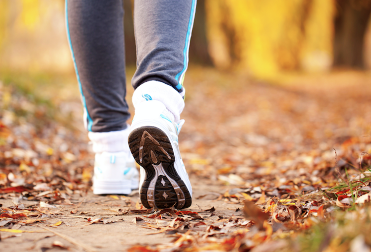 Neurowetenschappen  in dienst van de psychiatrie