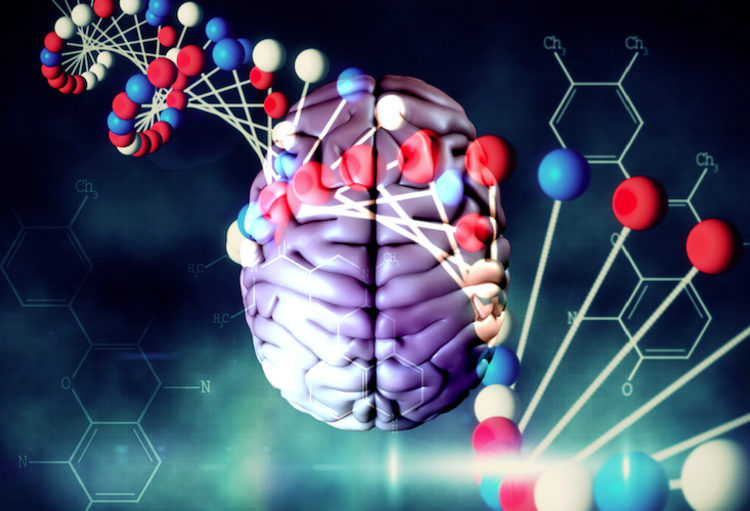 Les neurosciences au service de la psychiatrie
