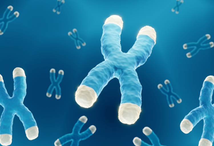 Conference on Retroviruses and Opportunistic Infections (CROI) 2023