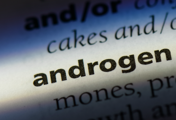 35ste Congres van de SFE