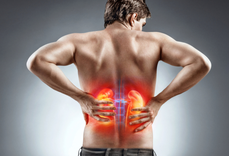 2nd symposium on Kidney Stones and Mineral Metabolism