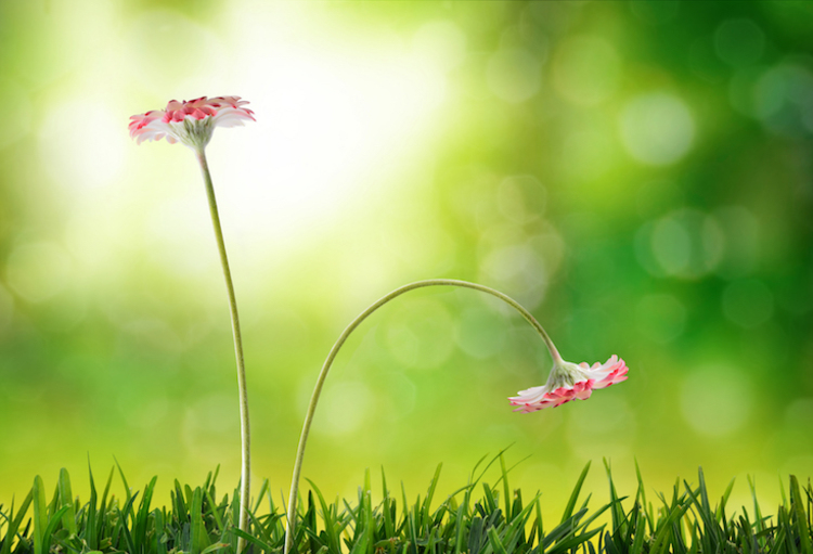 11es Assises de Sexologie et de Santé sexuelle - Quelques risques que l’on   connaît peu…