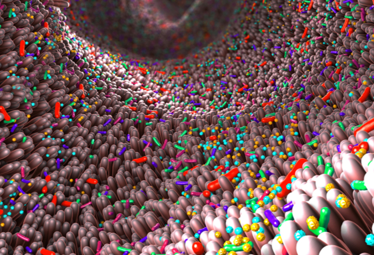 ASCO 2022: Tumeurs cérébrales: on avance… À petits pas, mais on avance!