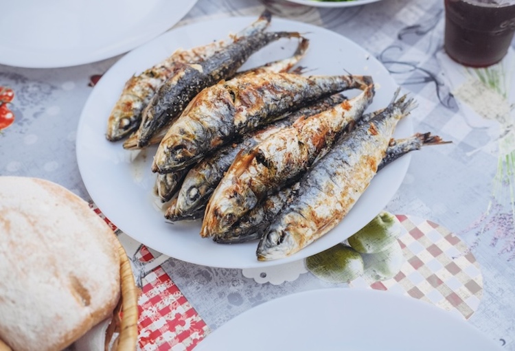 European Congress on Obesity 2025 - Obesitas: van globale urgentie naar therapeutische aanwinsten