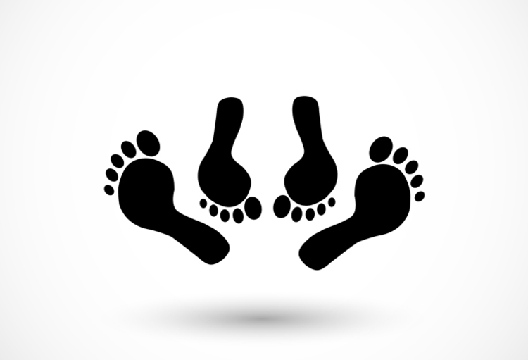 Echos de l’EAN 2016