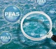 Contamination aux PFAS : les généralistes face à un sentiment d’impuissance